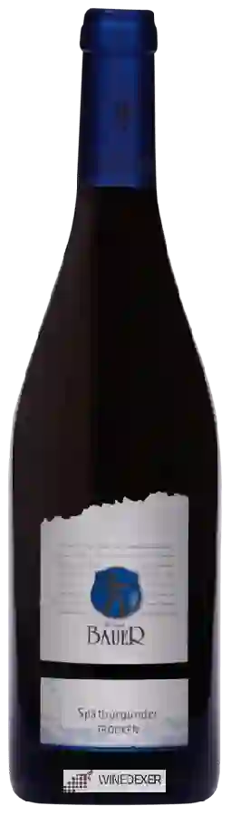 Weingut Bauer - Spätburgunder Trocken