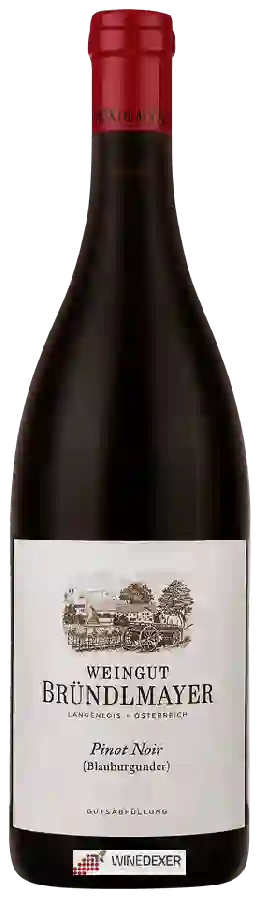 Winery Weingut Bründlmayer - Pinot Noir