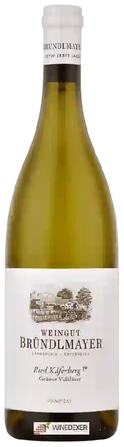 Winery Weingut Bründlmayer - Ried K&aumlferberg Grüner Veltliner