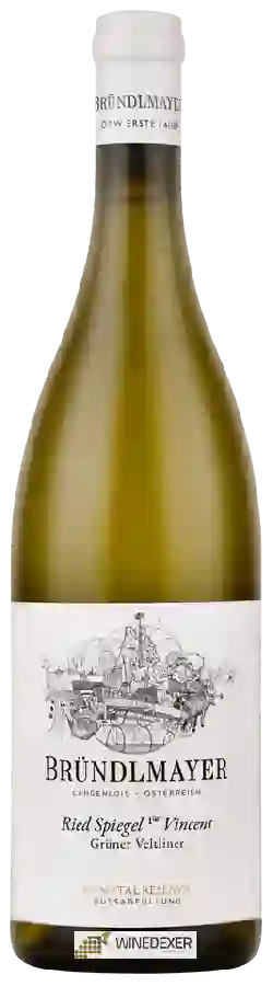 Winery Weingut Bründlmayer - Ried Spiegel Vincent Grüner Veltliner