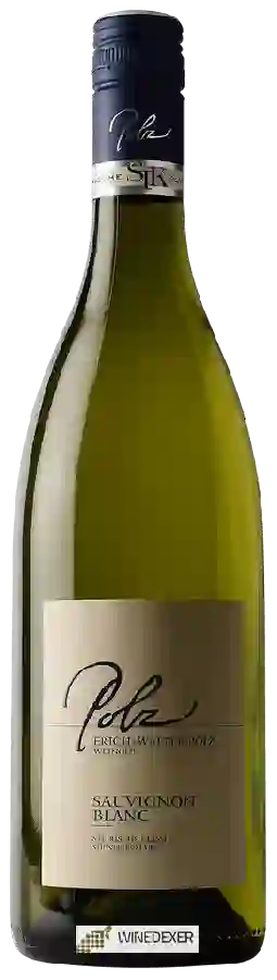 Winery Weingut Erich & Walter Polz - Steirische Klassik Sauvignon Blanc