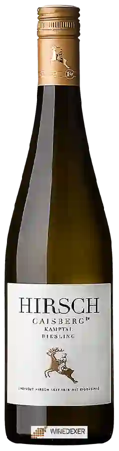 Winery Hirsch - Gaisberg Zöbing Reserve Riesling