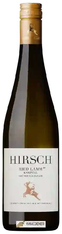 Winery Hirsch - Ried Lamm Grüner Veltliner Winery Hirsch - Ried Lamm Grüner Veltliner