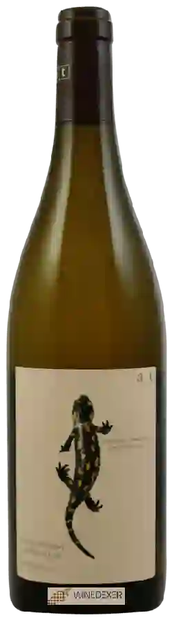 Winery Weingut In Glanz Andreas Tscheppe - Salamander Chardonnay