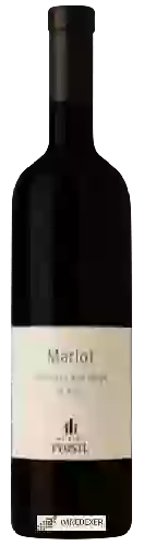 Winery Weingut Pfostl - Merlot