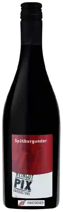 Weingut Pix - Spätburgunder