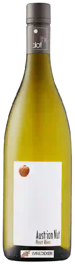 Winery Weingut R&A Pfaffl - Austrian Nut Pinot Blanc