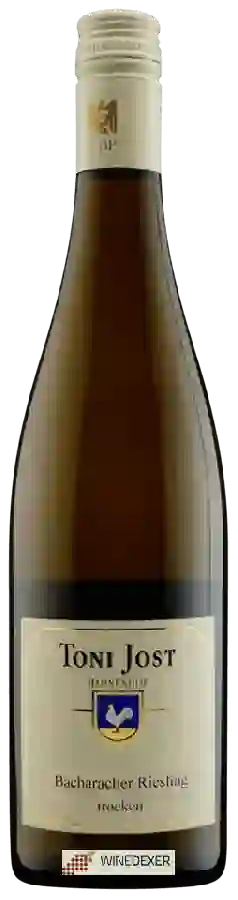 Weingut Toni Jost - Bacharacher Riesling Trocken