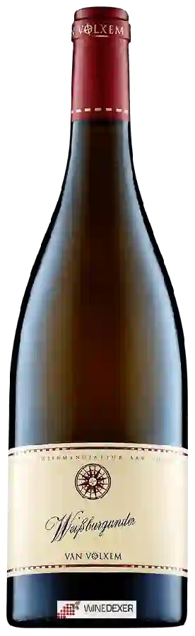 Winery Van Volxem - Weissburgunder