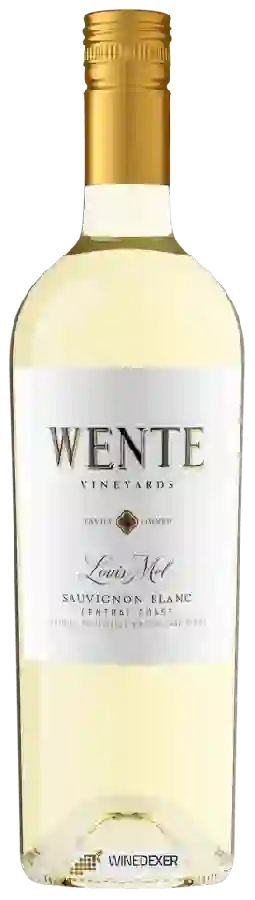 Winery Wente - Louis Mel Sauvignon Blanc Winery Wente - Louis Mel Sauvignon Blanc