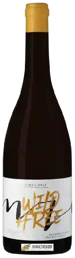 Winery Wenzel - Wild + Free Pinot Gris
