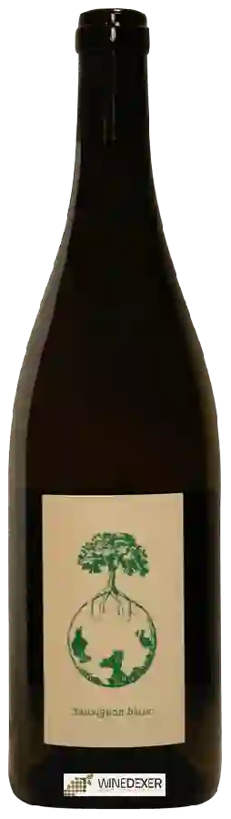 Winery Werlitsch - Sauvignon Blanc