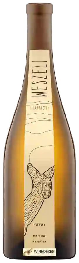 Winery Weszeli - Purus Riesling