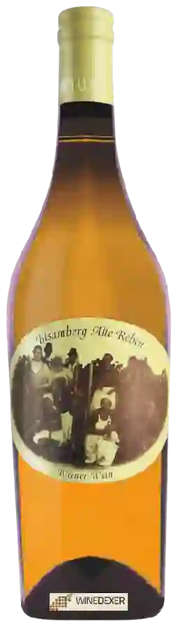 Winery Wieninger - Bisamberg Alte Reben