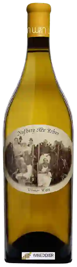 Winery Wieninger - Nußberg Alte Reben Winery Wieninger - Nußberg Alte Reben