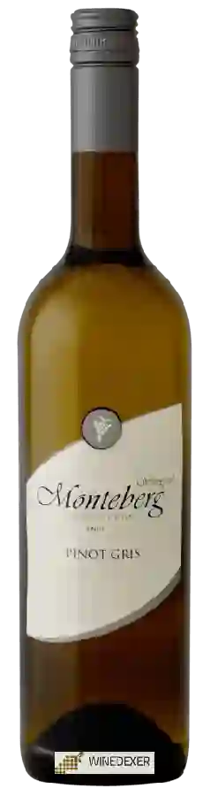 Winery Wijngoed Monteberg - Pinot Gris Winery Wijngoed Monteberg - Pinot Gris