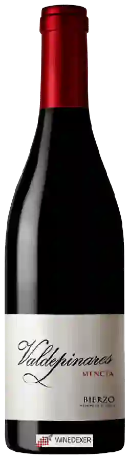 Winery Valdepinares - Mencia