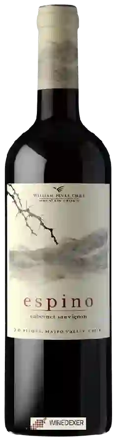 Winery William Fèvre Chile - Espino Cabernet Sauvignon