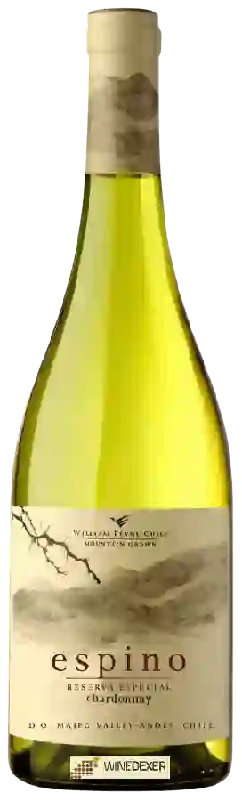 Winery William Fèvre Chile - Espino Chardonnay