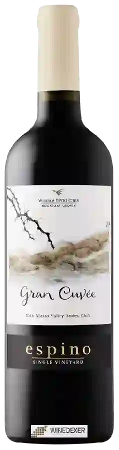Winery William Fèvre Chile - Espino Gran Cuvée Carmenère Winery William Fèvre Chile - Espino Gran Cuvée Carmenère