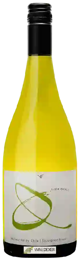 Winery William Fèvre Chile - Little Quino Sauvignon Blanc Winery William Fèvre Chile - Little Quino Sauvignon Blanc