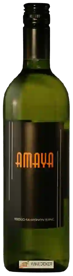 Winery Wineintube - Amaya Verdejo - Sauvignon Blanc