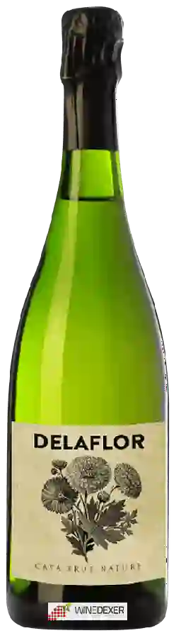 Winery Wineissocial - Cava Brut Nature