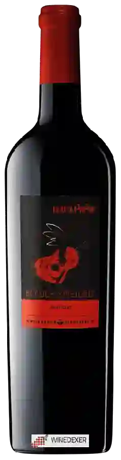 Winery Winzer Krems - Glatt & Verkehrt Blauer Zweigelt Barrique