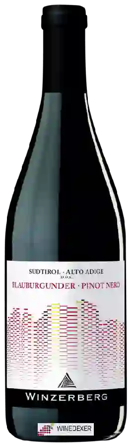Winery Winzerberg - Blauburgunder - Pinot Nero Winery Winzerberg - Blauburgunder - Pinot Nero