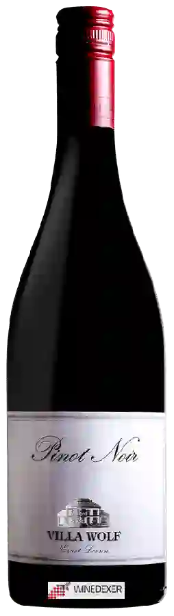 Winery Villa Wolf - Pinot Noir Winery Villa Wolf - Pinot Noir