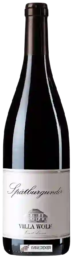 Winery Villa Wolf - Spätburgunder