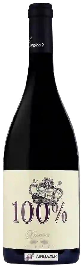Winery Xavier Vins d'Experts - 100% Rouge