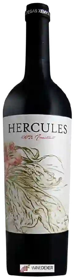Winery Xenysel - Hercules