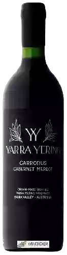 Winery Yarra Yering - Carrodus Cabernet - Merlot