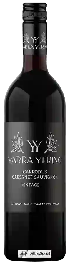 Winery Yarra Yering - Carrodus Cabernet sauvignon
