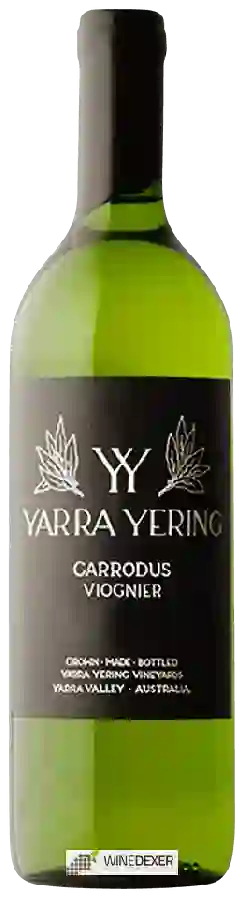 Winery Yarra Yering - Carrodus Viognier