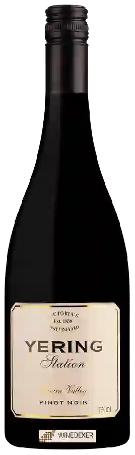 Winery Yering Station - Pinot Noir