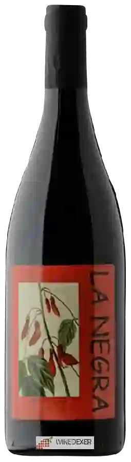 Winery YoYo - La Negra Winery YoYo - La Negra