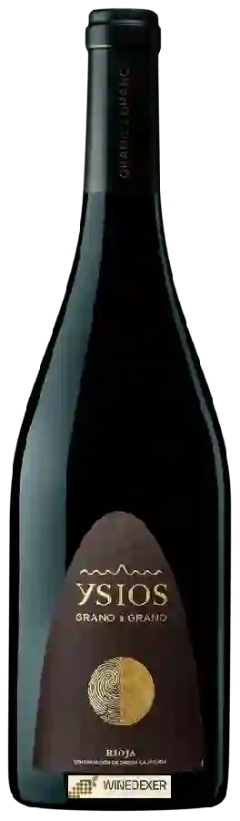 Winery Ysios - Grano a Grano Winery Ysios - Grano a Grano