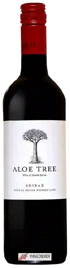 Winery Aloe Tree - Shiraz