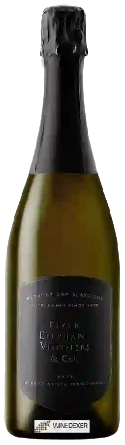 Winery Black Elephant Vintners - MCC Brut