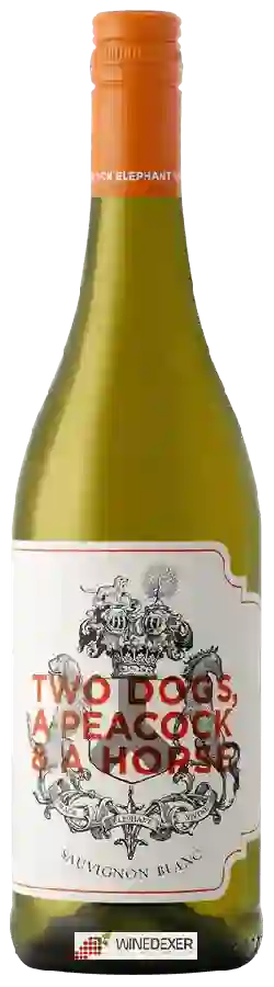 Winery Black Elephant Vintners - Two Dogs, A Peacock & A Horse Sauvignon Blanc Winery Black Elephant Vintners - Two Dogs, A Peacock & A Horse Sauvignon Blanc