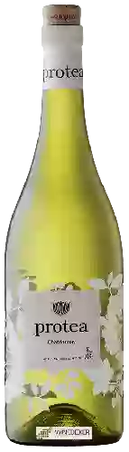 Winery Protea - Chardonnay