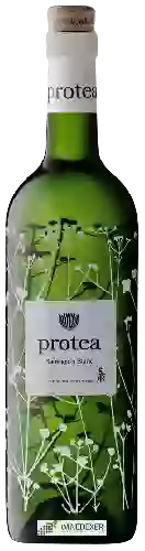Winery Protea - Sauvignon Blanc