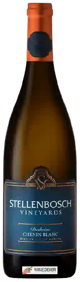 Winery Stellenbosch Vineyards - Bushvine Chenin Blanc