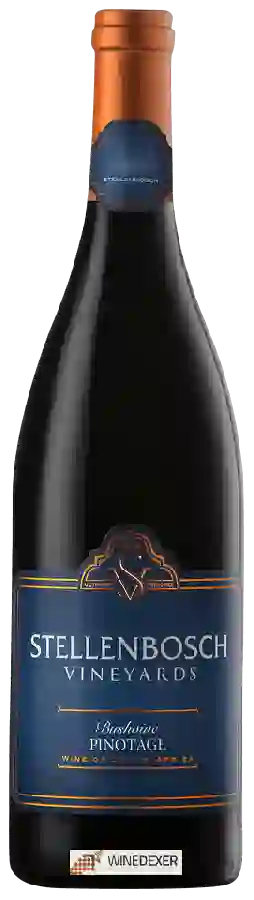 Winery Stellenbosch Vineyards - Bushvine Pinotage