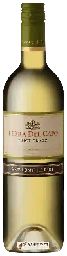 Winery Terra del Capo - Pinot Grigio