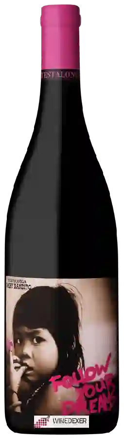 Winery Testalonga - Baby Bandito Follow Your Dreams Winery Testalonga - Baby Bandito Follow Your Dreams