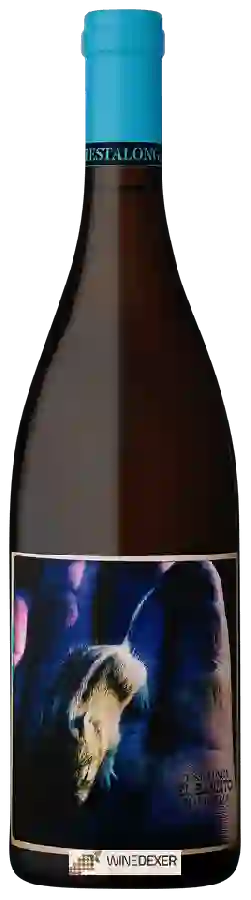 Winery Testalonga - El Bandito Mangaliza Winery Testalonga - El Bandito Mangaliza