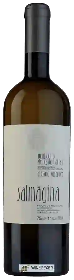 Winery Zaccagnini - Salmàgina Verdicchio dei Castelli di Jesi Classico Superiore